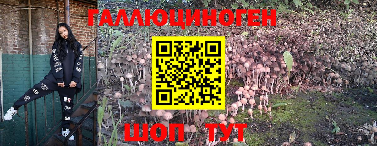сколько стоит  Псилоцибиновые грибы Cubensis  Вход с VPN  Киржач 