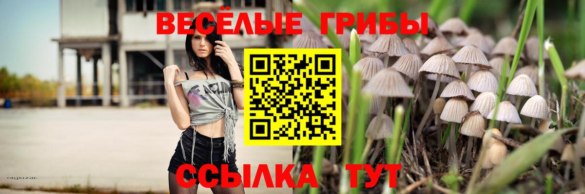 Галлюциногенные грибы Cubensis Киржач